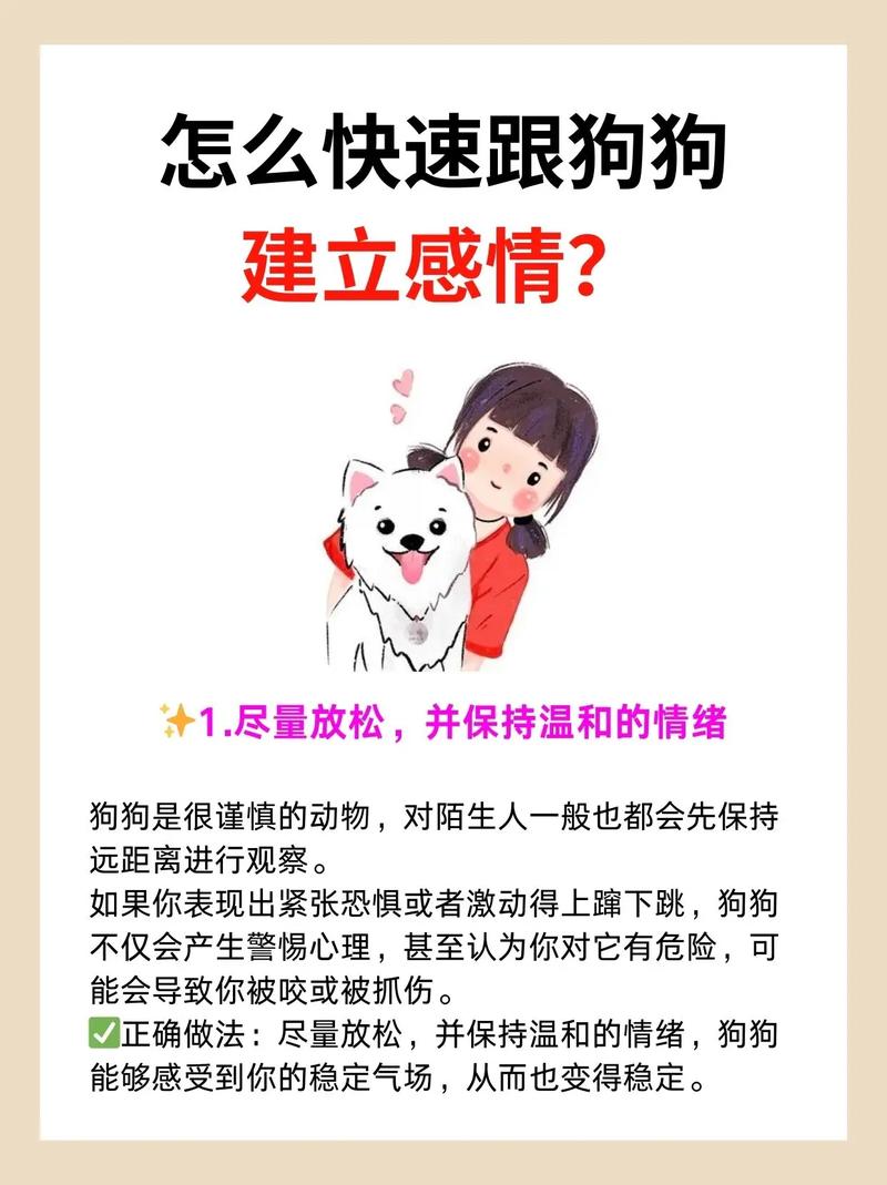 怎么跟小狗狗培养感情