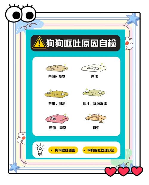 狗狗呕吐后全身发抖的原因及处理方法