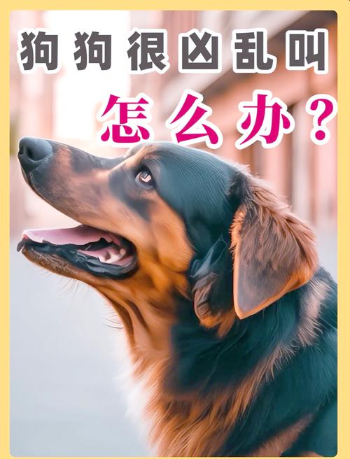 狗狗见人就叫怎么办，狗狗见到人一直叫的原因