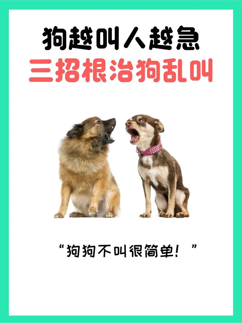 狗狗见人就叫怎么办(急)