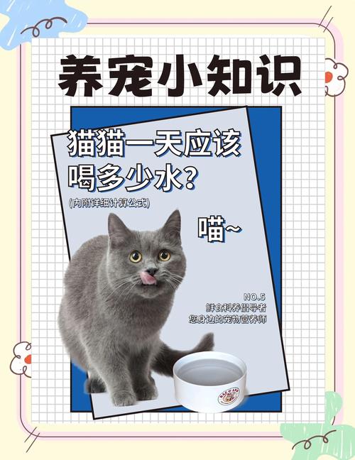 猫咪可以喝红糖水吗，猫咪能喝红糖粥吗？