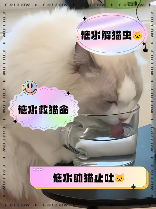 30天的幼猫可以了喝红糖水么