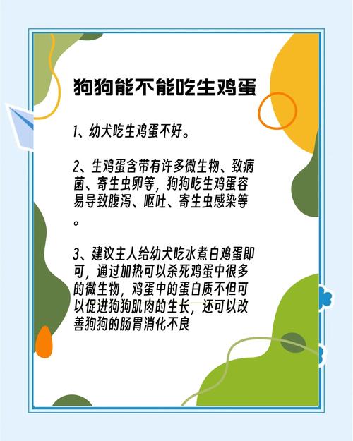 狗狗能不能吃鸡蛋?