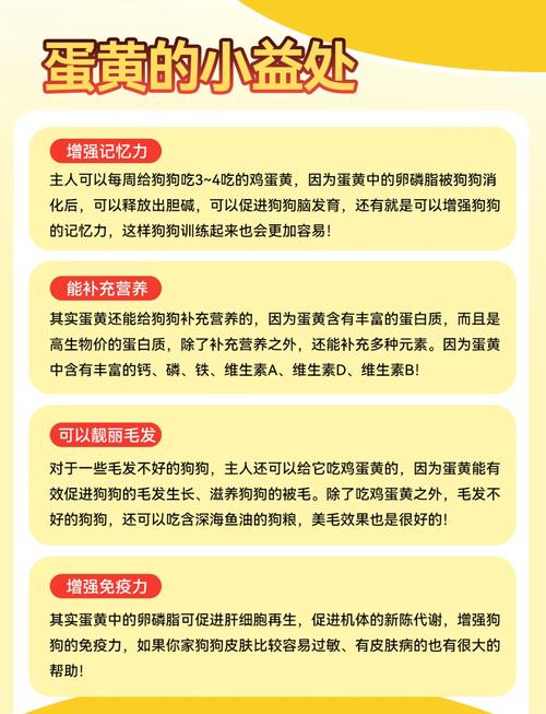 狗狗产后吃鸡蛋好吗