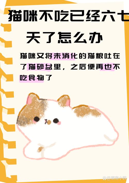 猫咪不吃新猫粮怎么办，猫咪不吃新买的猫粮？