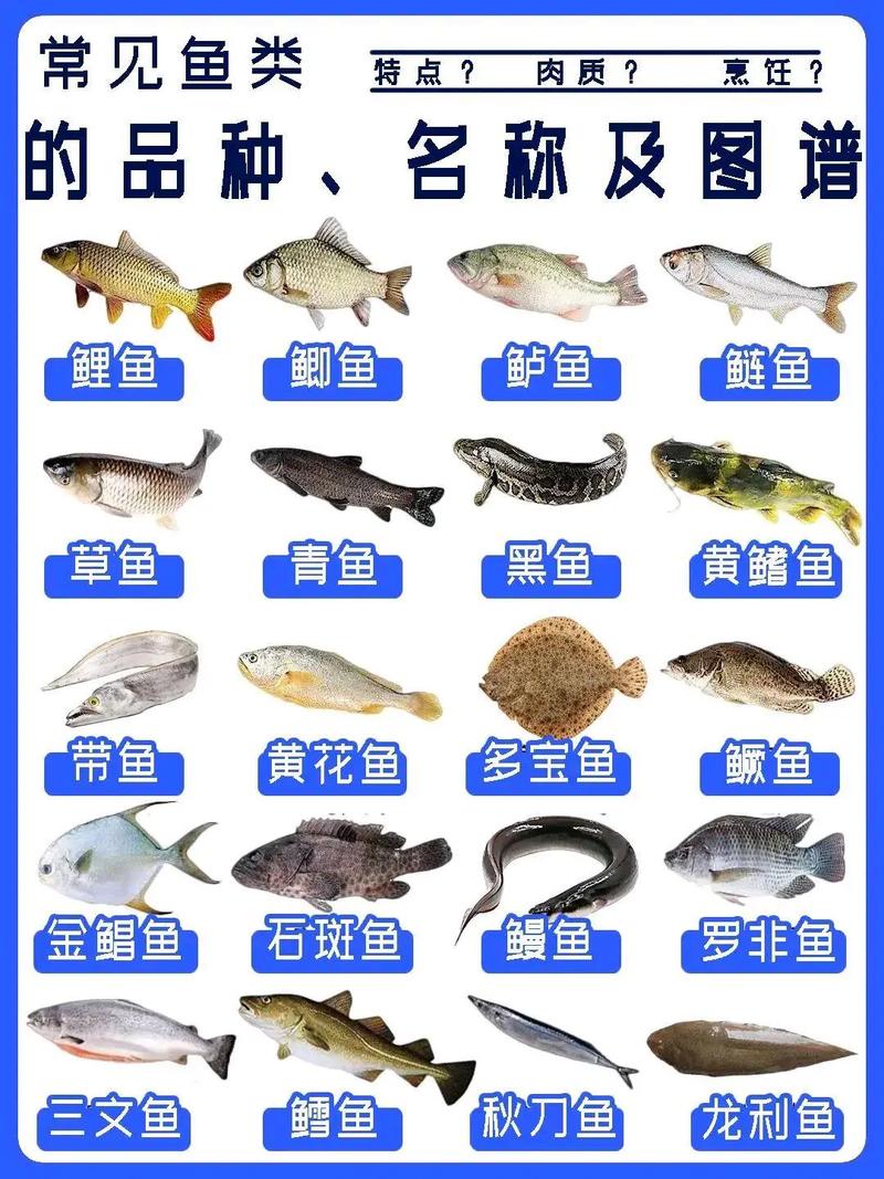 中国比较好
吃的淡水鱼排名