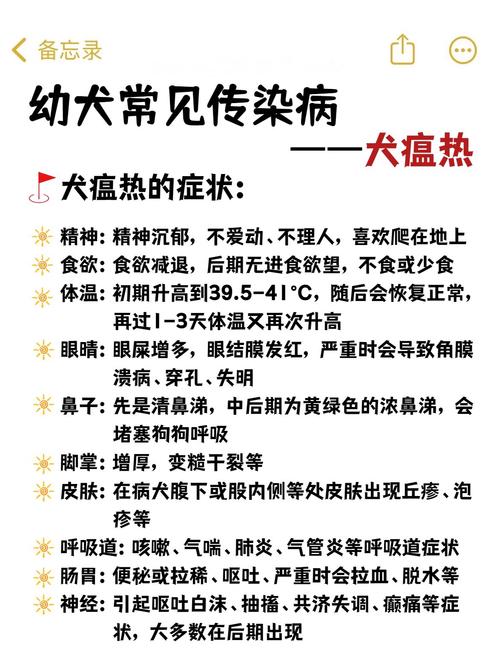 狗狗身上起癣怎么办？
