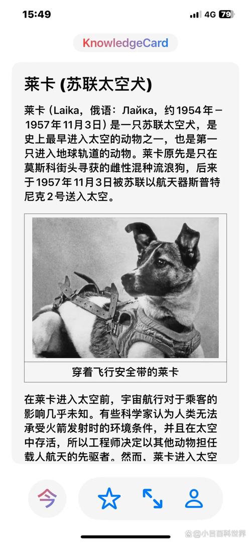 哪种动物曾搭乘我国的生物火箭呢