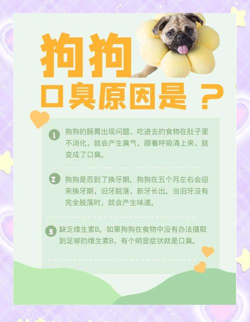狗狗口臭怎么办