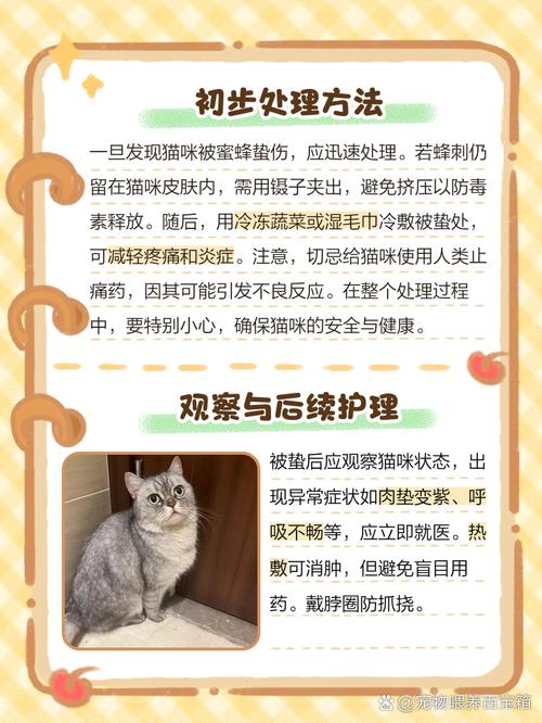 猫咪被蜜蜂蛰了怎么办，猫咪被蜜蜂蛰了会自愈吗？