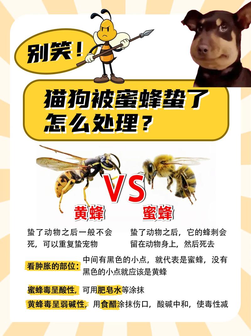 猫被蜜蜂蛰了会死吗?