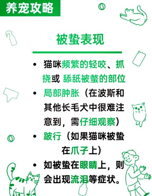 猫咪被蜜蜂蛰了,怎么治疗比较合适?