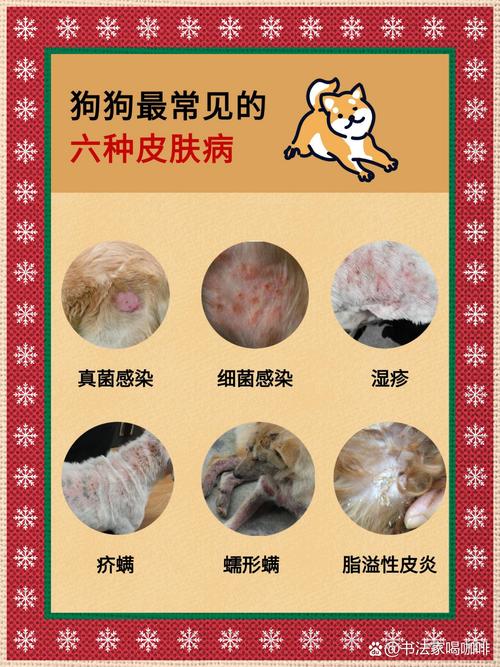 狗狗寄生虫感染症状，狗狗寄生虫感染症状及处理