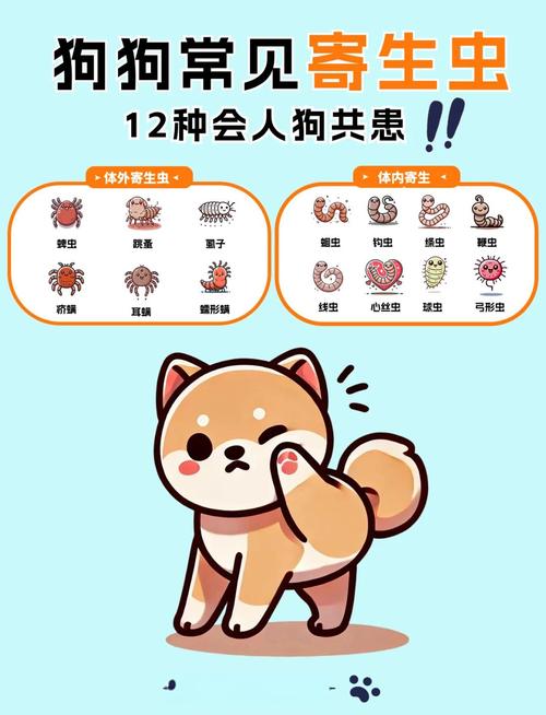 狗狗感染寄生虫后会有哪些表现呢