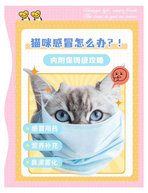 猫咪感冒了会自己好吗，猫咪感冒会自然好吗