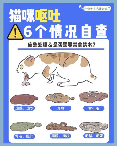 猫猫为什么会吐，猫猫为什么会吐黄色的水