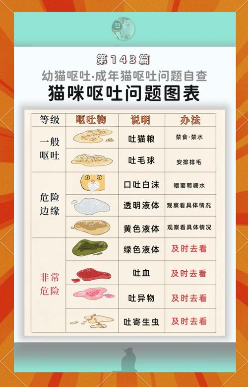 家里猫猫每次吃完饭后都会呕吐,是为什么?有什么解决办法?
