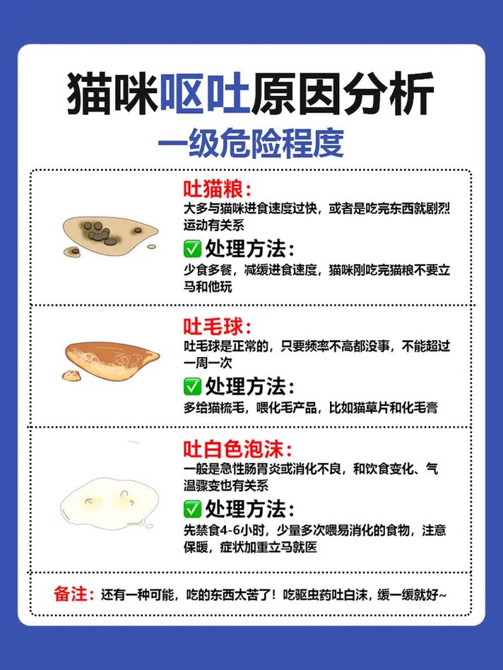 猫猫呕吐是什么原因呢?