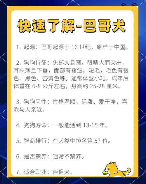 哪种小型狗比较好
养?