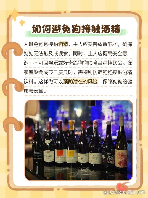 狗狗喝酒会怎样