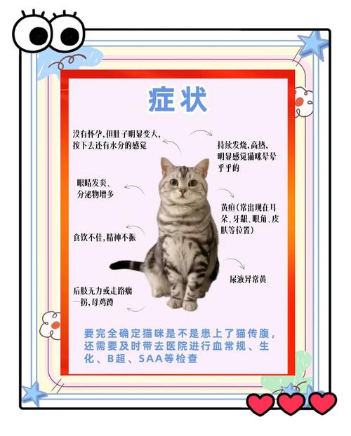 猫咪传染性腹膜炎的临床症状有哪些?