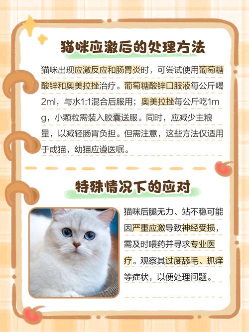 猫咪洗完澡后一直睡觉正常吗?