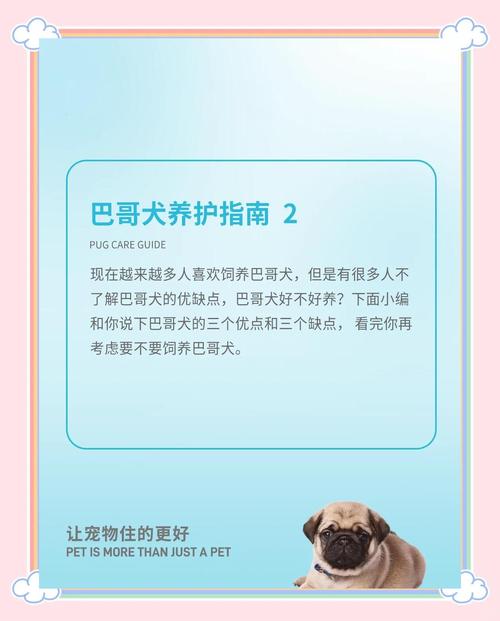 巴哥犬好养吗?有什么优缺点呢?