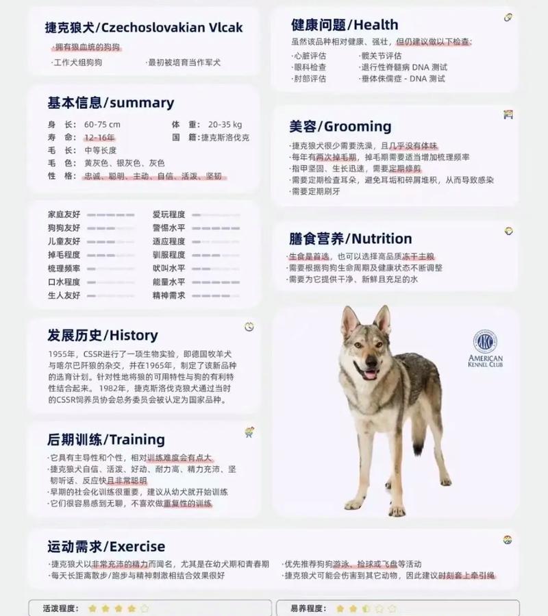狼狗幼崽多少钱一只?