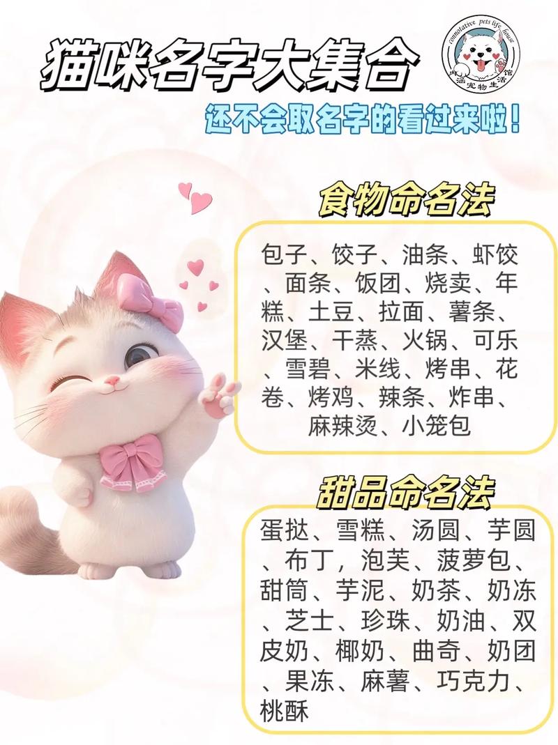 好听的猫咪名字100个母猫