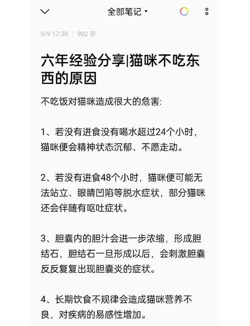 猫咪为什么不爱吃东西了?