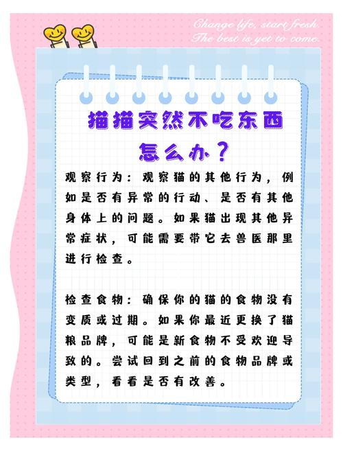 猫几天不吃东西怎么办?