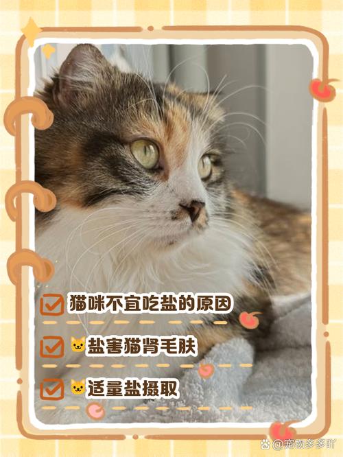 猫不能吃盐是真的吗?