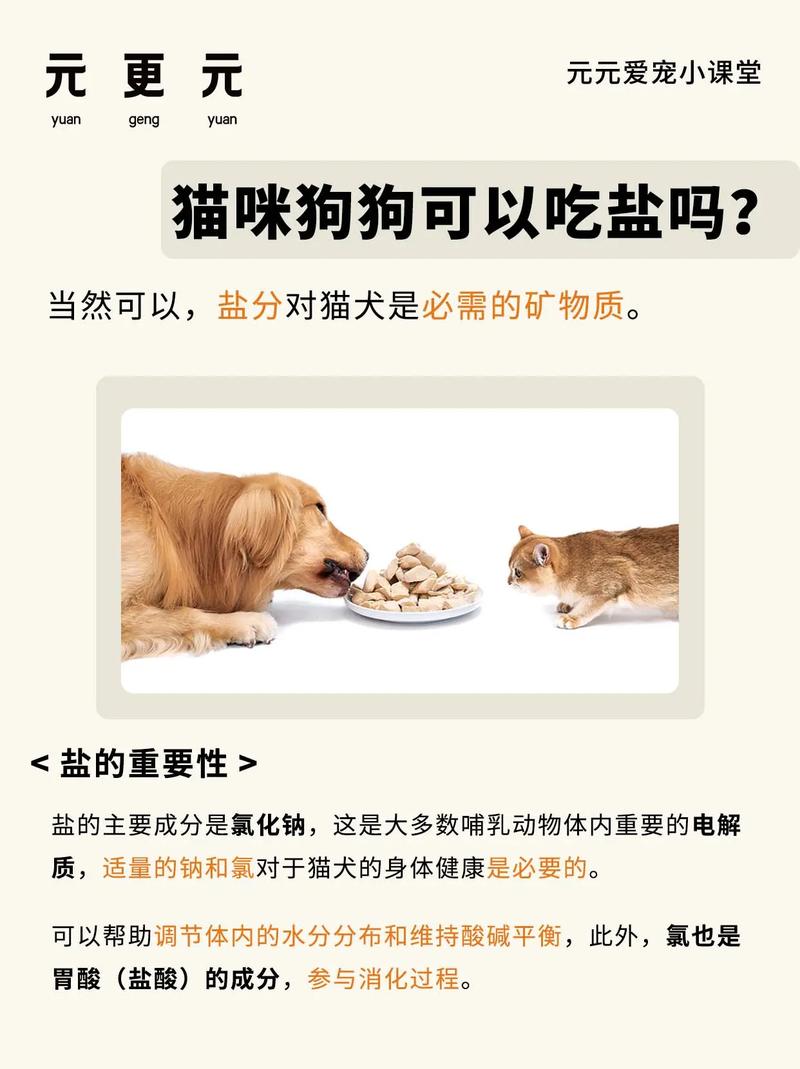 猫吃盐会怎么样?