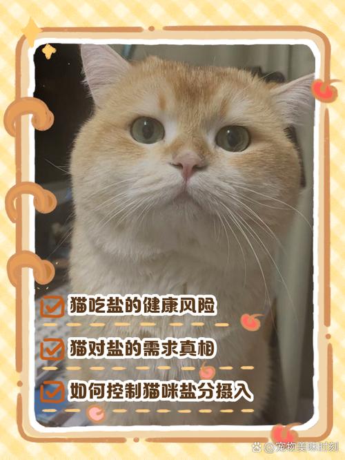 猫咪吃盐会有什么样的后果?