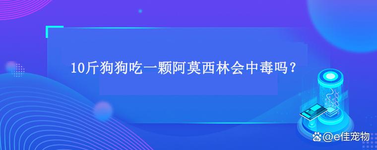 狗狗可以吃阿莫西林吗