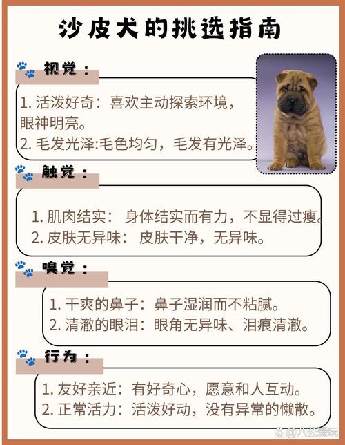 加密狗多少钱一个