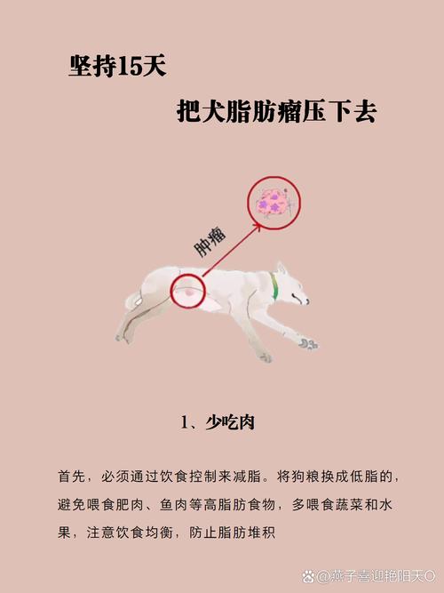 狗可以喝桃胶炖牛奶么