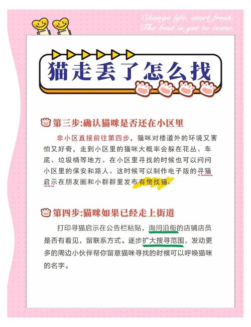 猫走丢了怎么办?
