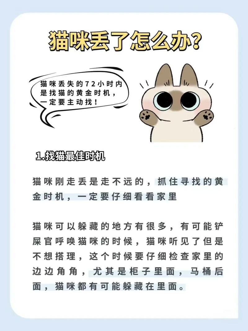 猫咪走丢后应该怎么办?