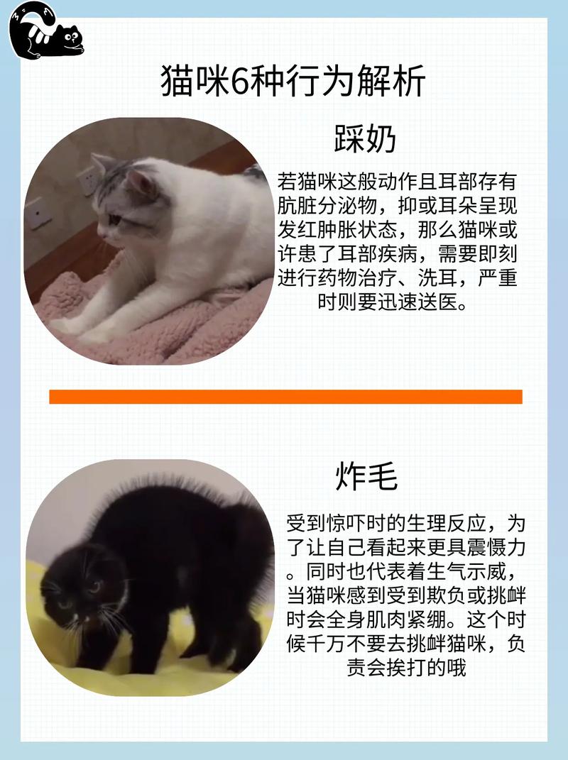 为什么我家猫喜欢舔着我衣服踩奶呀?