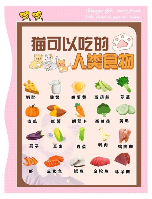 猫咪能吃什么人的食物