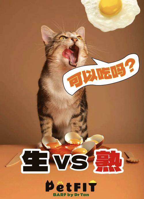 猫吃鸡蛋黄多久吃一次