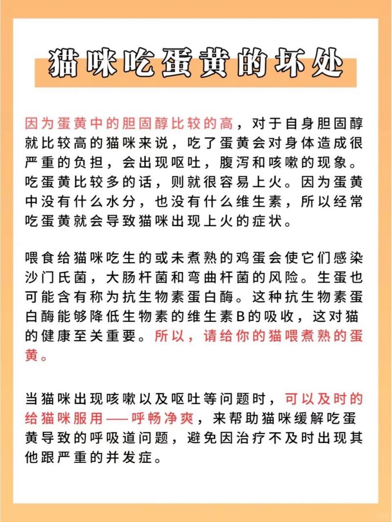 猫吃鸡蛋黄的作用