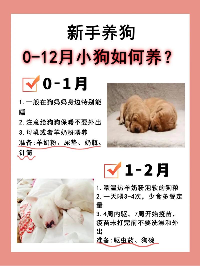 刚出生不足月的狗狗怎么养?能活吗?