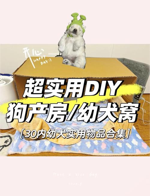 刚出生的狗狗怎么喂养