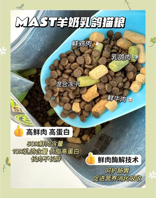 猫咪两个月吃什么
