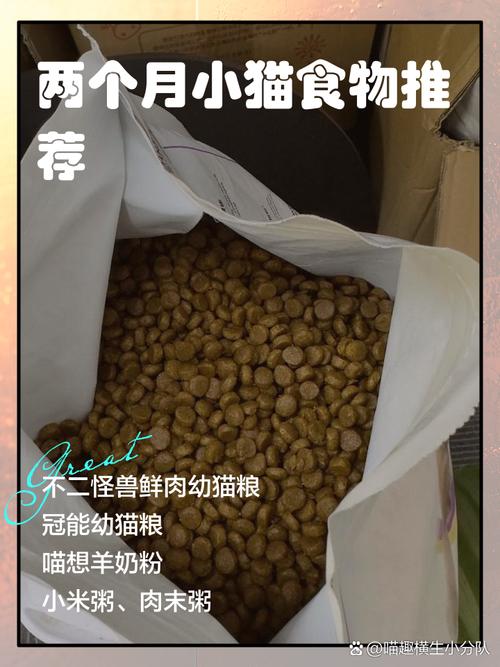两个月大的小猫吃什么食物好