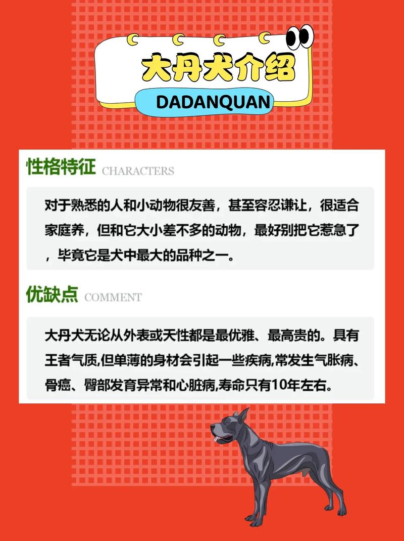 大丹犬的品相该怎样鉴别?