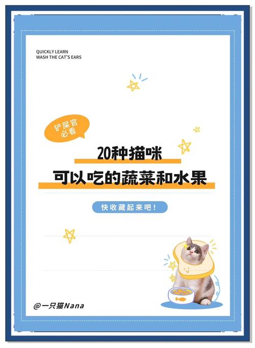 猫咪能吃什么水果蔬菜