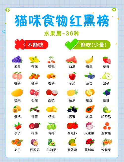 猫咪会吃什么水果